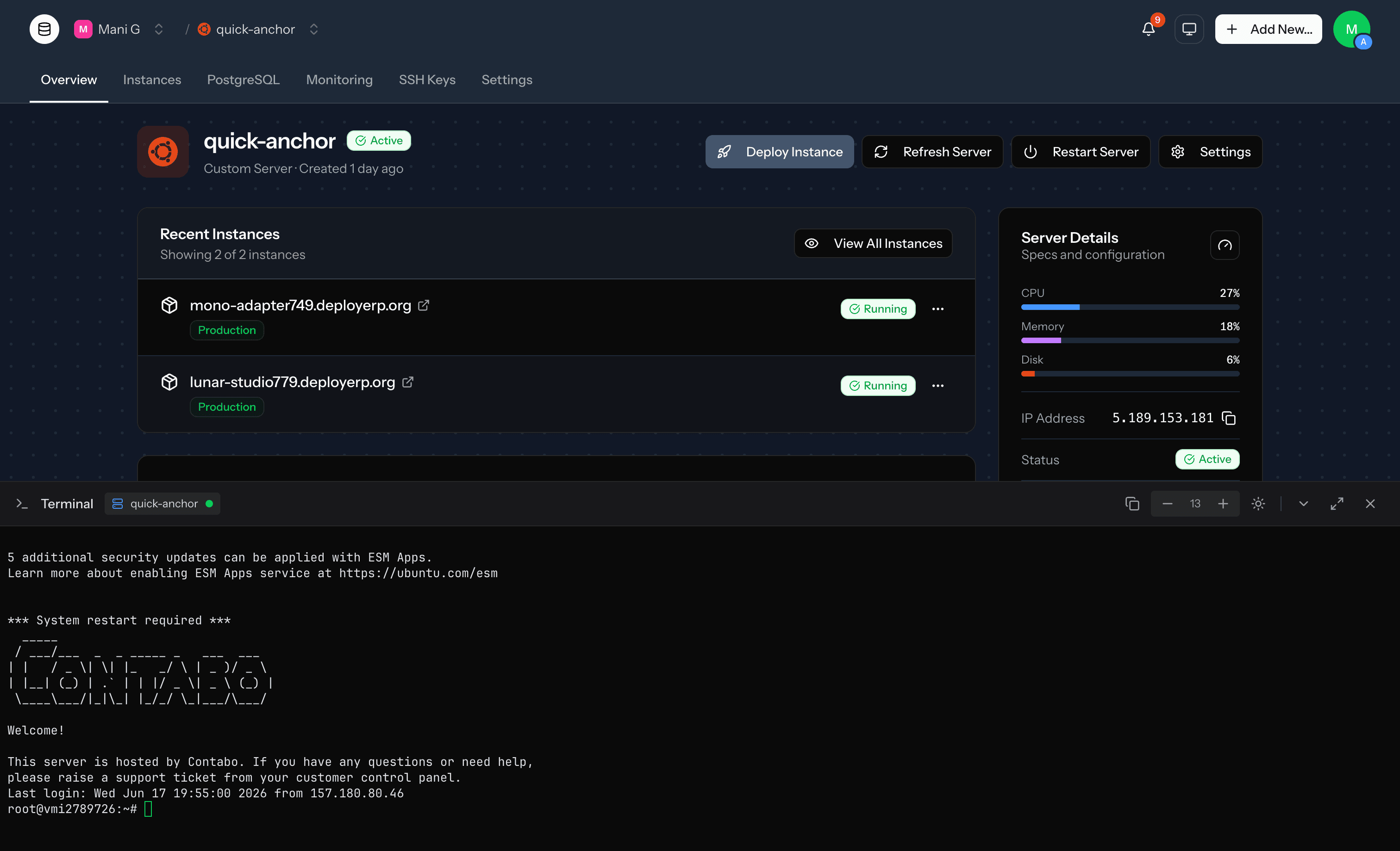 DeployERP server detail view with live resource metrics and an embedded SSH terminal